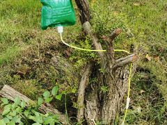 -武汉大学图书馆·文理学部总馆