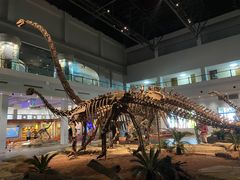 -自贡恐龙博物馆