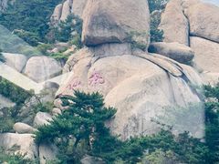 -崂山仰口游览区