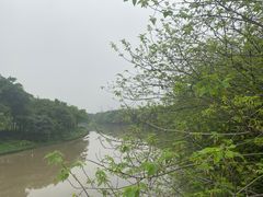 -海珠湖公园