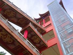 -东莞市大岭山森林公园