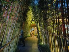 -雅达·阳羡溪山小镇中心