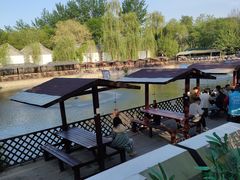 -尚庄度假村·庭台树下·户外烧烤·团建CS·轰趴营地(上庄水库店)