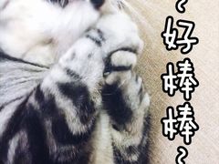 -丽江花间堂·隐泉院