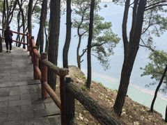 -铁山坪森林公园