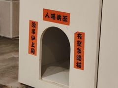-楼上猫咖(罗湖店)