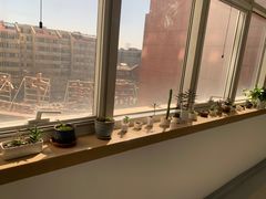 -首都医科大学附属北京友谊医院(西城院区)