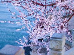 -颐和园
