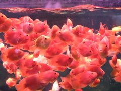 -常州海昌海洋探索馆