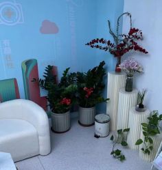 -斐尔国际皮肤管理中心