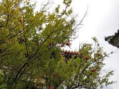 -烤肉宛饭庄(北新桥店)