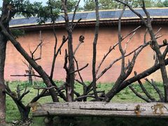 -太湖龙之梦