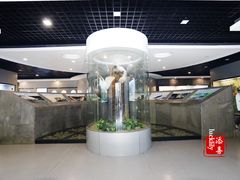 -下渚湖国家湿地公园科普馆