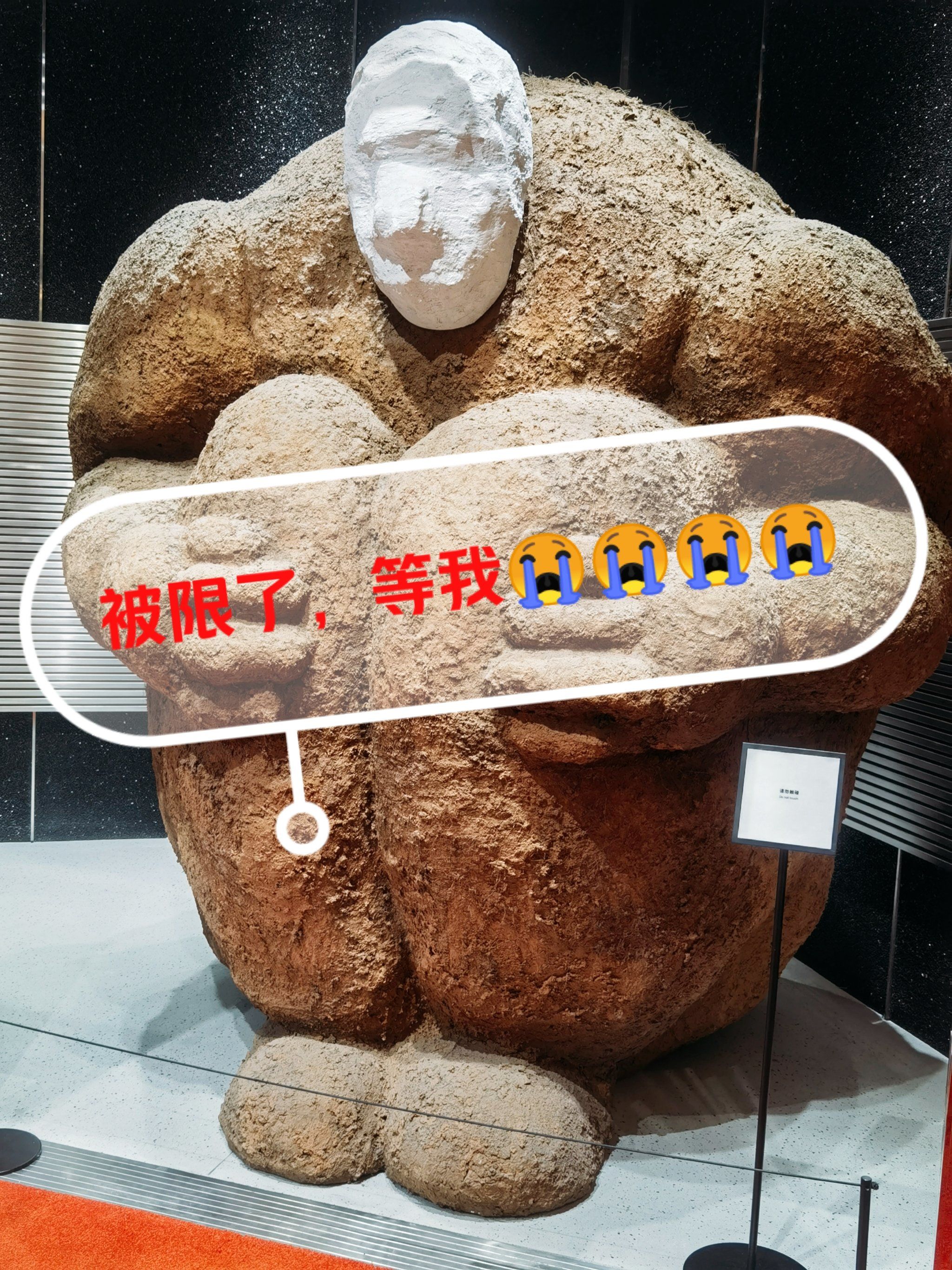 被限了等等我[评友]