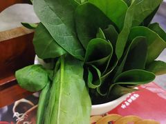小菠菜-沸炉重庆老火锅(军事博物馆店)