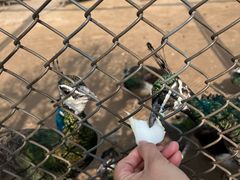 -森林公园(尖草坪区)