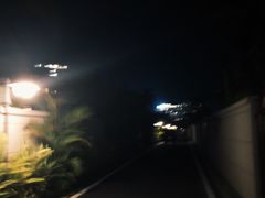 -南国锋味椰子鸡(瀚海店)