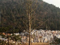 -千岛湖石林