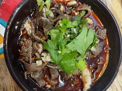 -冯烫烫跷脚牛肉·川菜小馆(武胜西街店)