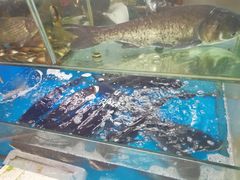 -浔味·山屿湖·正宗淳牌全鱼宴老字号