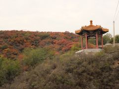 -鬼笑石后山停车场
