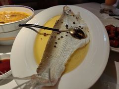 清蒸白水鱼-醉舍·新淮扬菜(长宁龙之梦店)