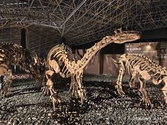 -世界恐龙谷景区