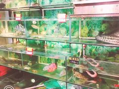 水产区-施施海鲜餐厅(长乐店)