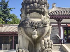 -法门文化景区