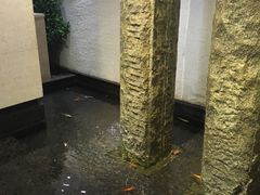 -赶海部落海鲜城(海阳路店)