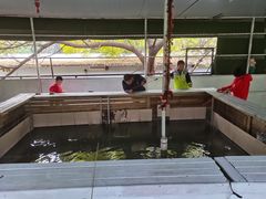 景观位-小象钓虾·营地烧烤(洛溪店)