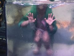 -暹罗海洋世界