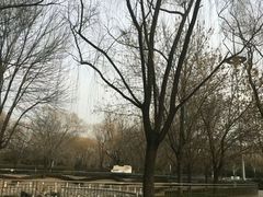 -北京亚布洛尼朝阳公园滑雪场