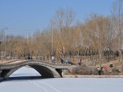 -森林公园(尖草坪区)