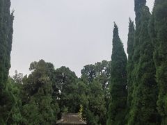 -淄博聊斋城景区