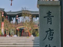 -大唐贡茶院