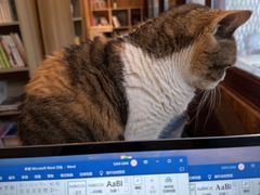 -隅cafe(傅厚岗店)