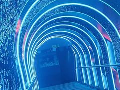 -胖子烧烤海鲜(亲贤北街店)