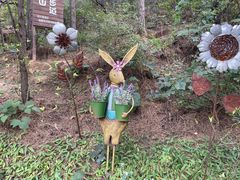 -云峰山自然风景区