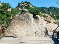 -大岭沟猕猴桃谷风景区