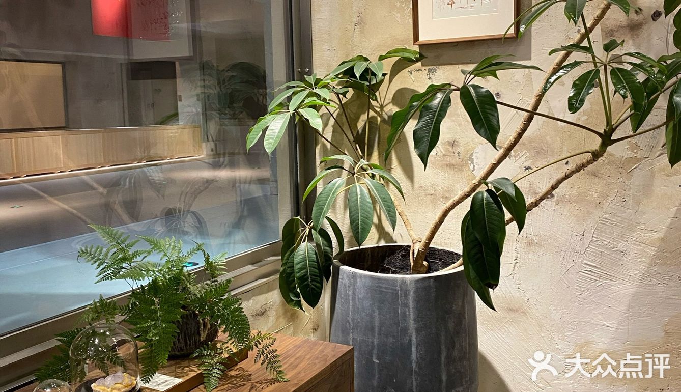 好逛-荒石展厅