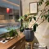好逛-荒石展厅