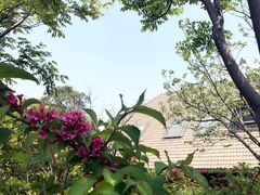 -吴淞炮台湾湿地森林公园烧烤区