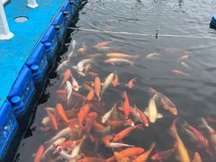 -千岛湖-欢乐水世界