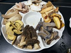 -野菌皇海景野生菌火锅(滨海大道店)