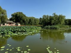 -三忘湖 SWANSEEN(柳荫公园店)