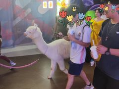 -时尚天河商业广场