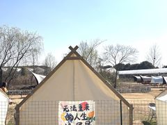 -广富林郊野公园