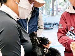 -瑞派康怡24h宠物医院·犬猫医疗中心·微创绝育(瑞景分院)