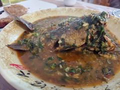 -张鲫鱼家常菜
